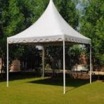 Pagoda Canopy Tents