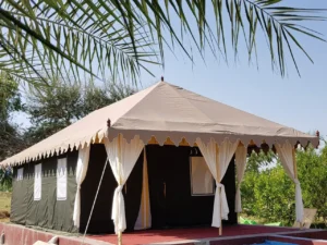 TentStore.in